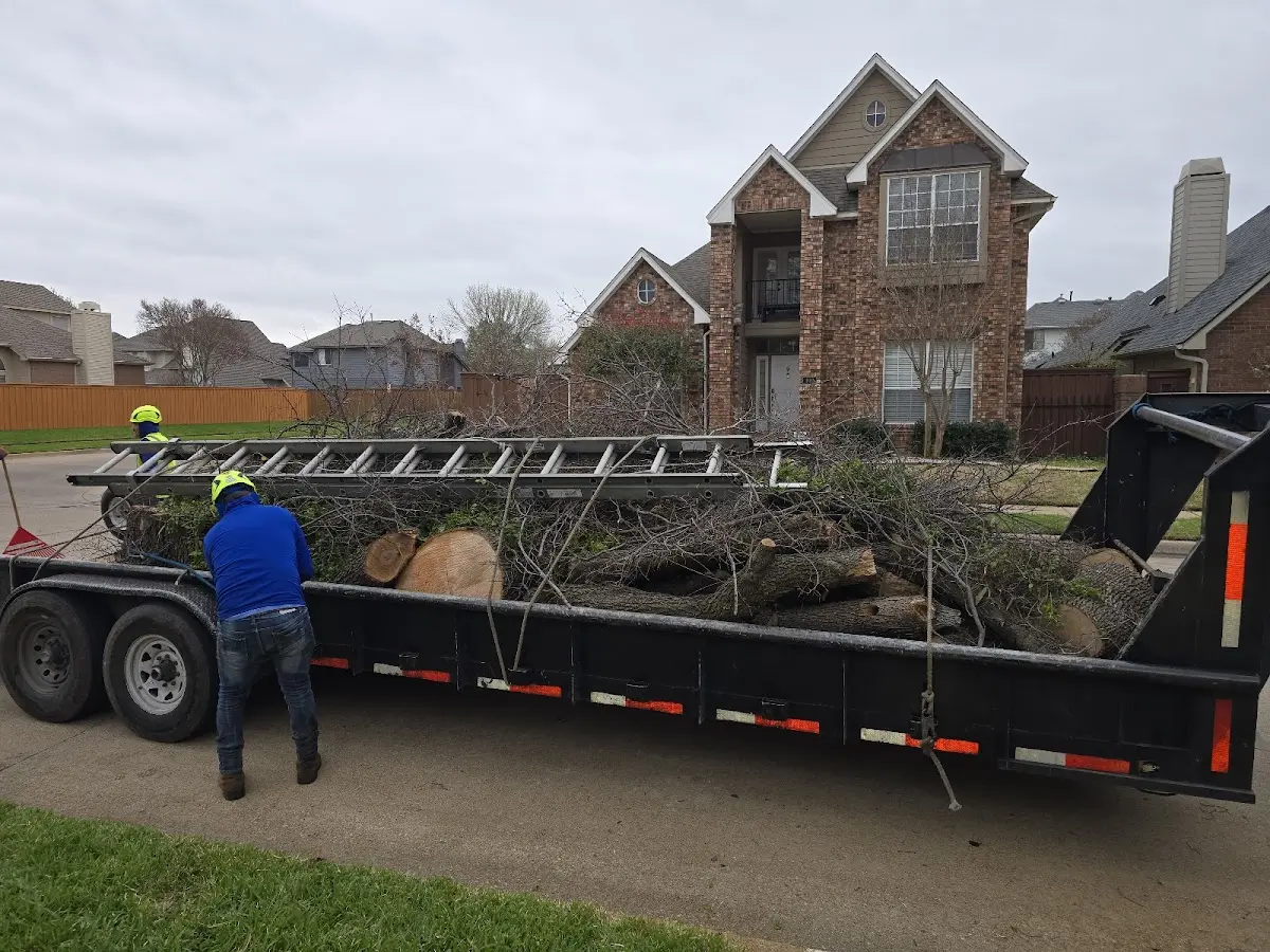 Expert Tree Fertilization with proper safety equipment in Roxana